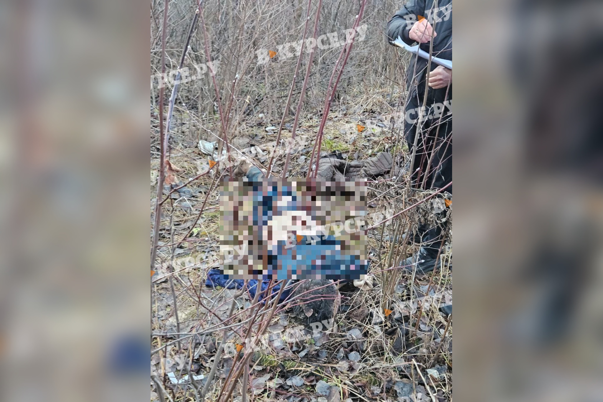 Фото: В курсе.ру