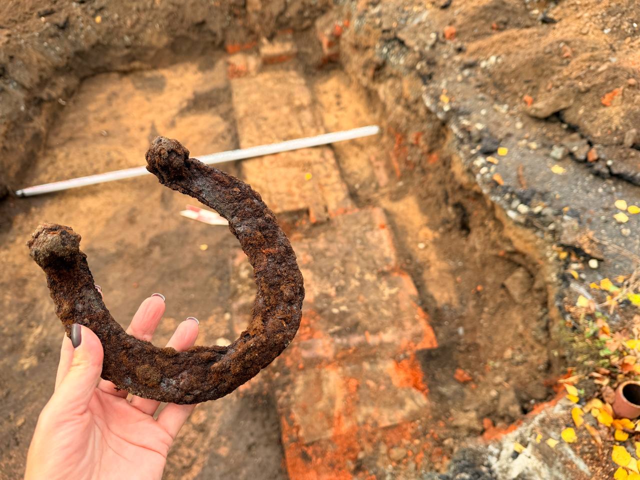 Фото: В курсе.ру