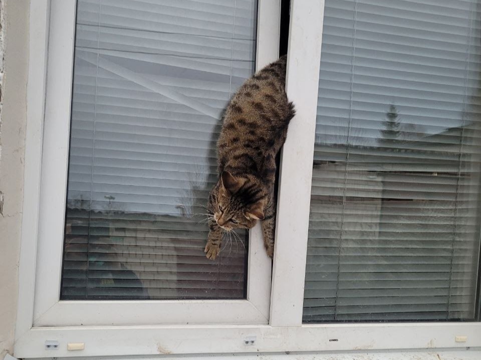 Фото: Поисково-спасательная служба Кунгурского МО