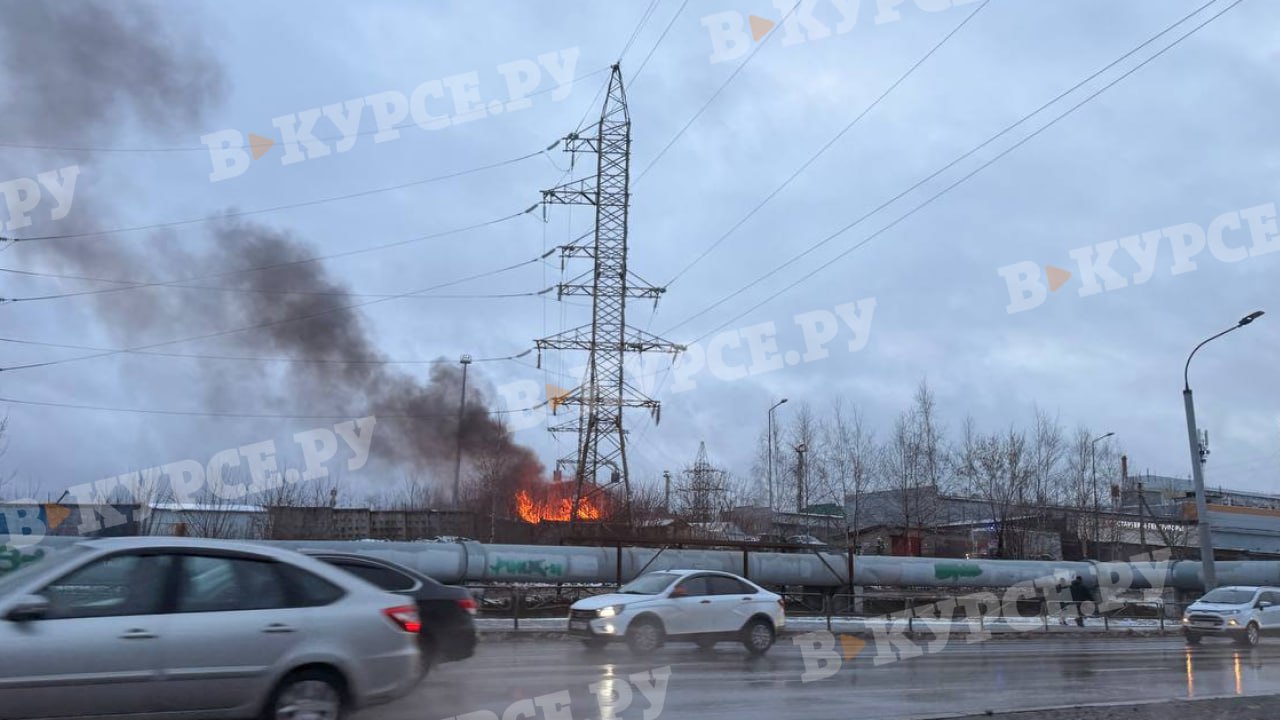 Фото: В курсе.ру