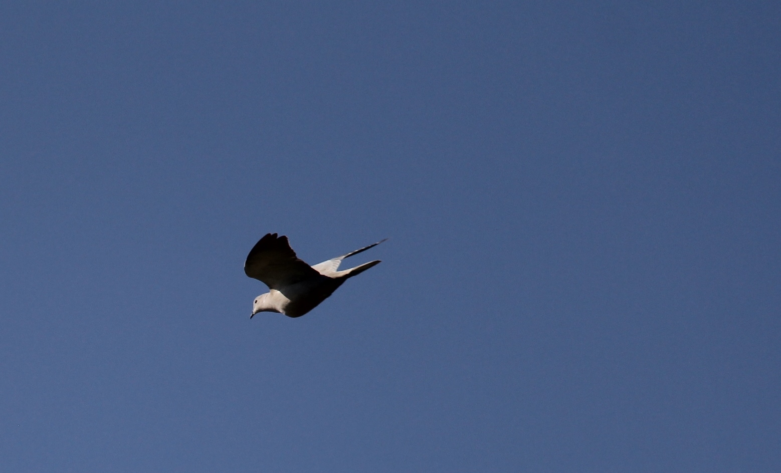 Фото: Галина Матвеева