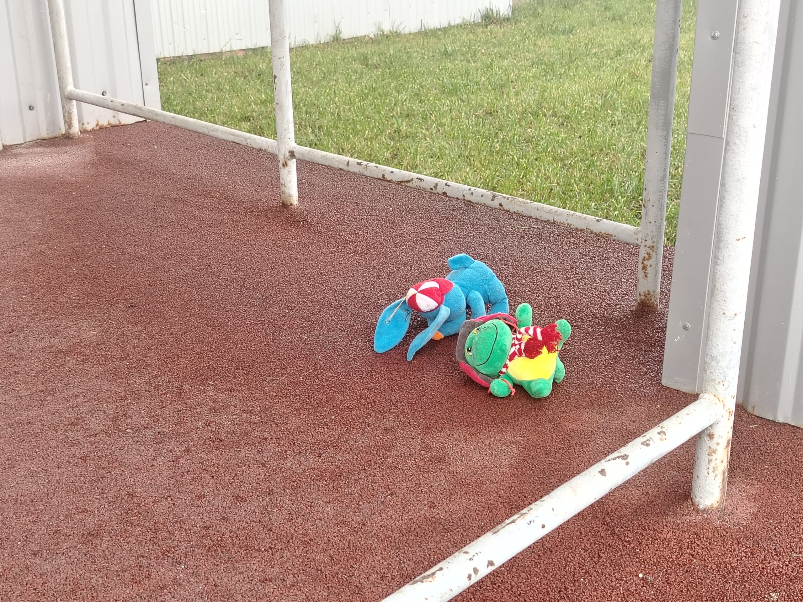 Фото: В курсе.ру