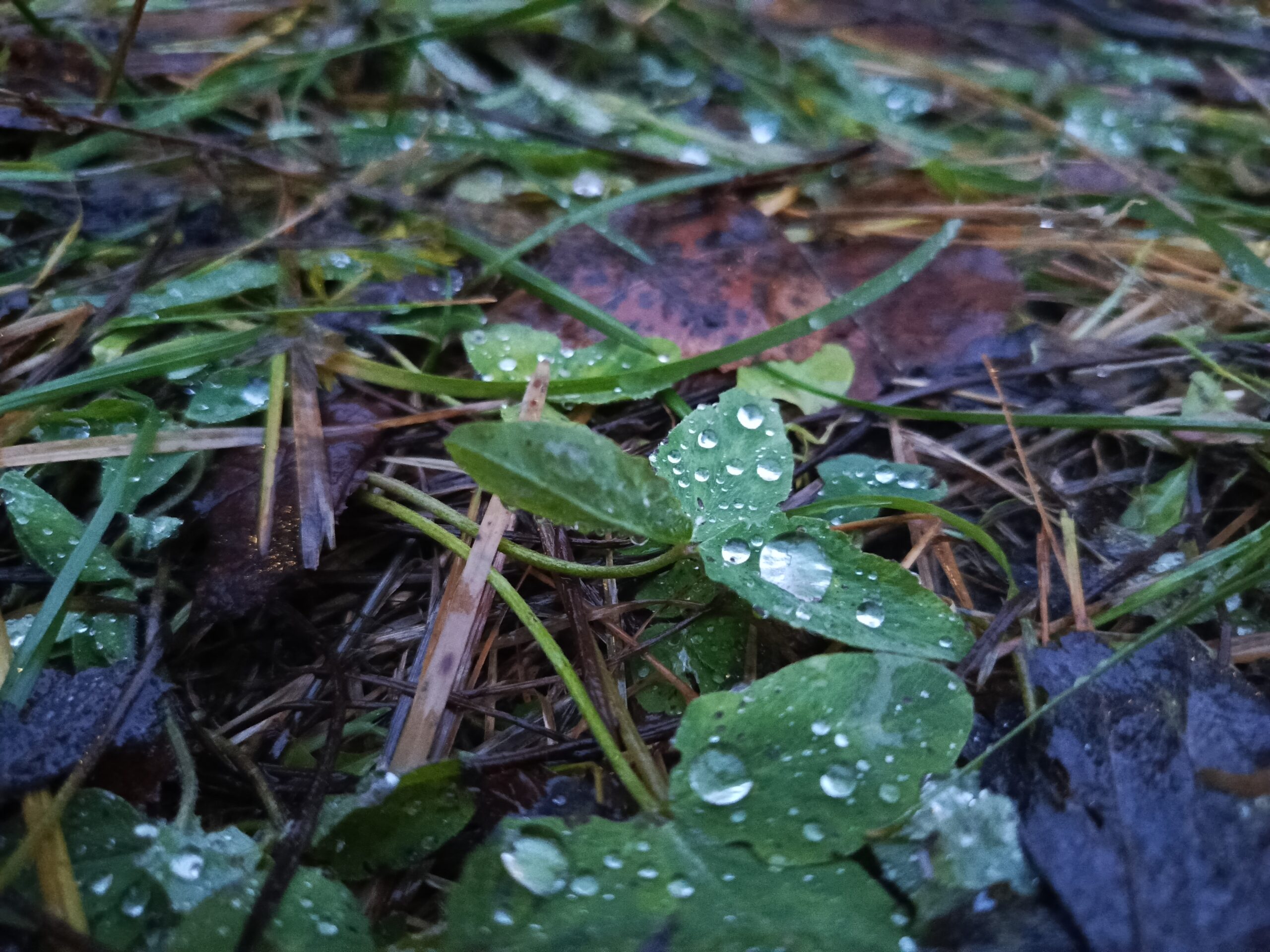 Фото: В курсе.ру