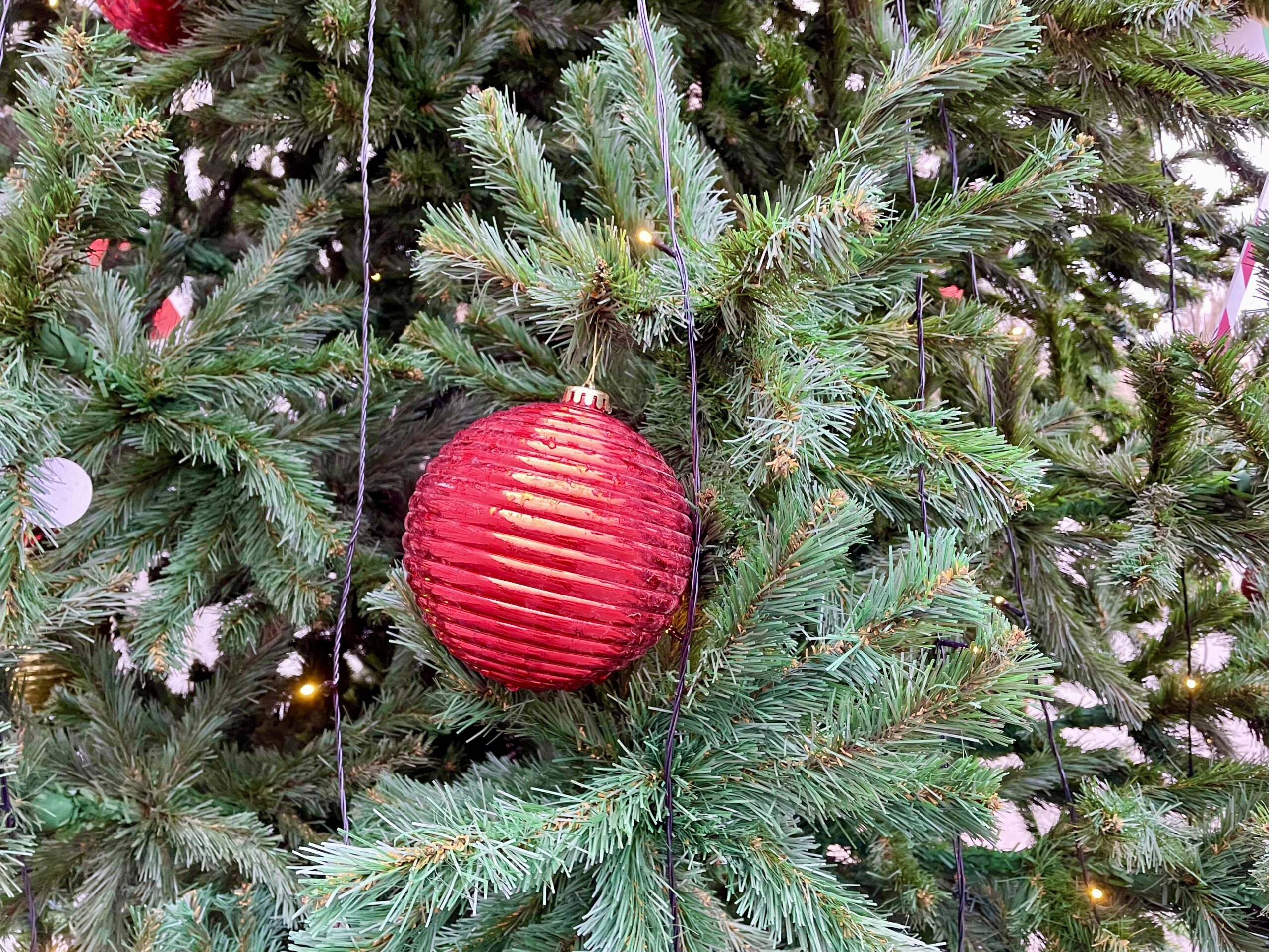 Фото: В курсе.ру