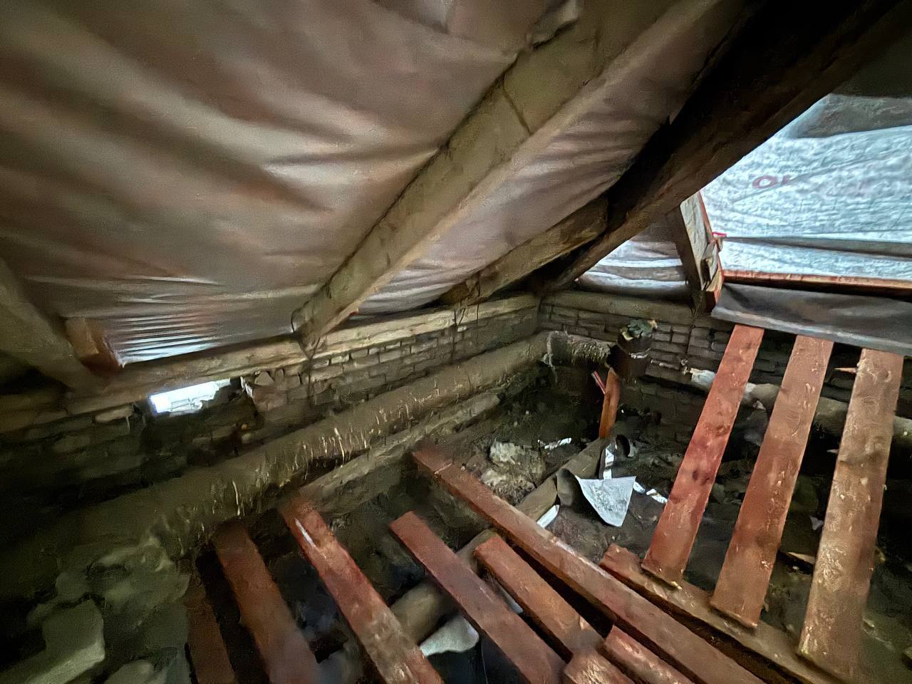 Фото: Глава Березников/ТГ