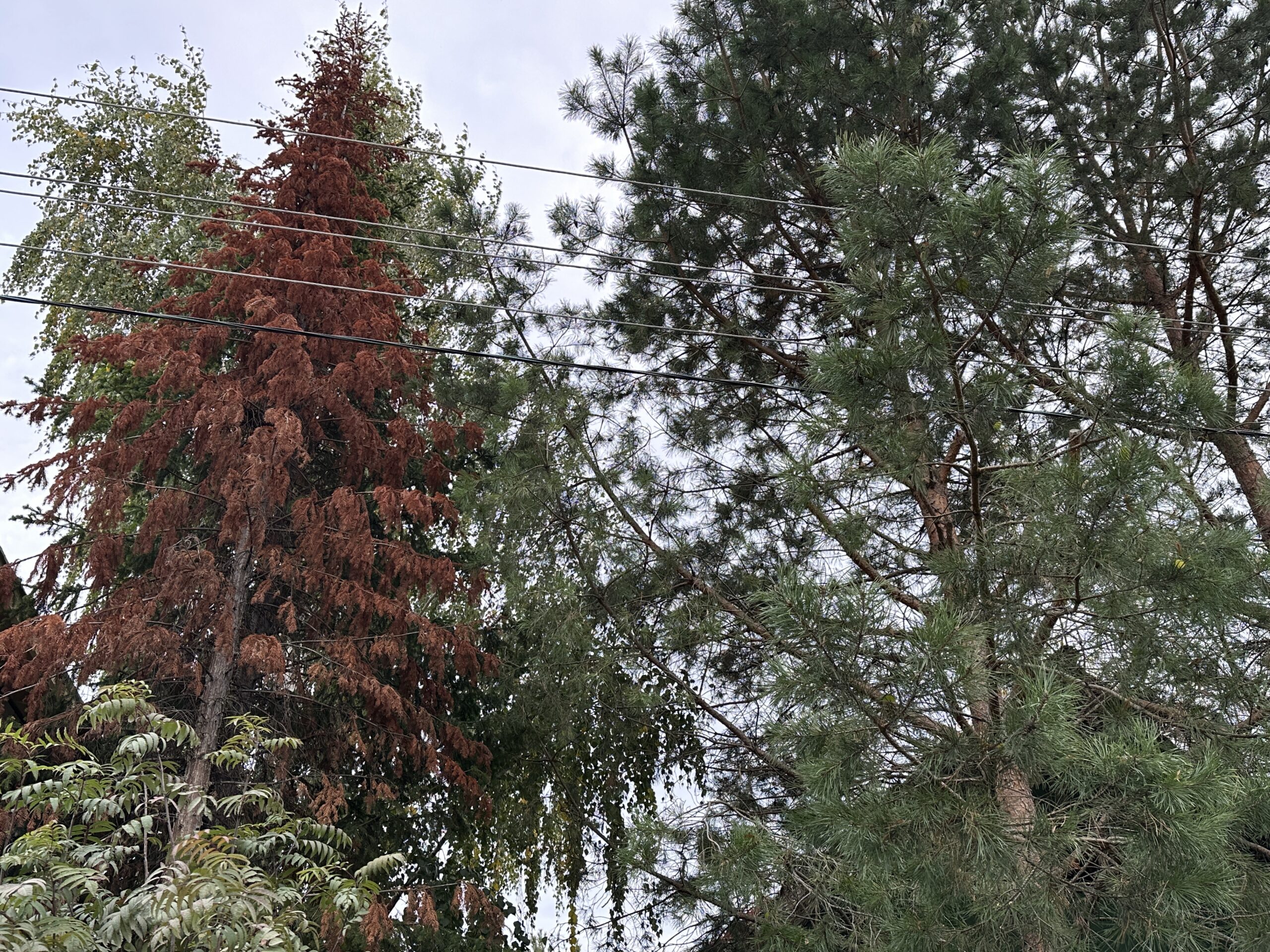 Фото: В курсе.ру