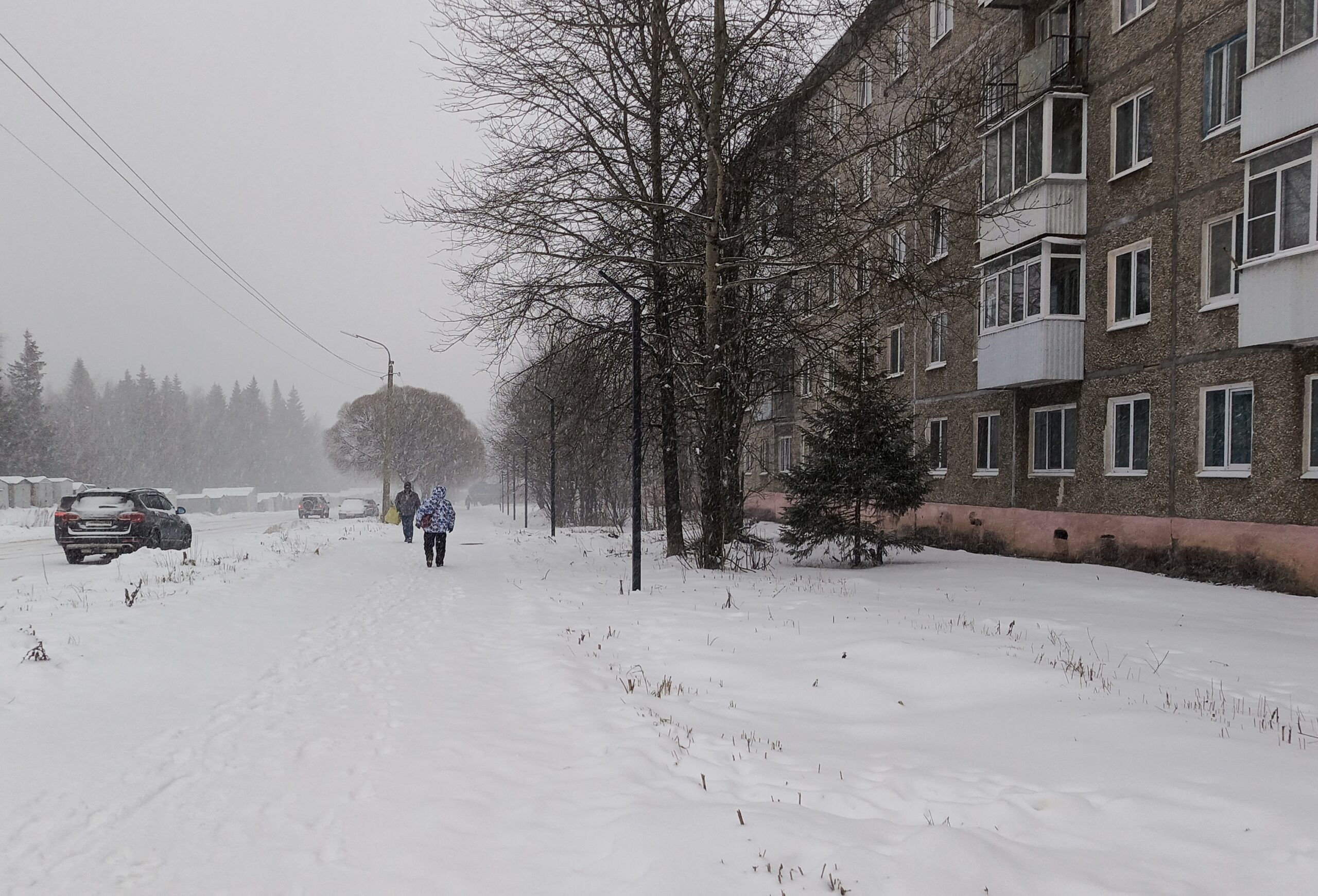 Фото: В курсе.ру