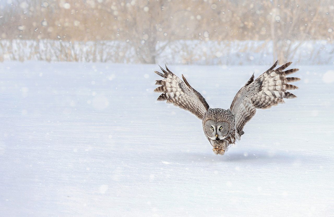 Фото: Татьяна Тихомирова