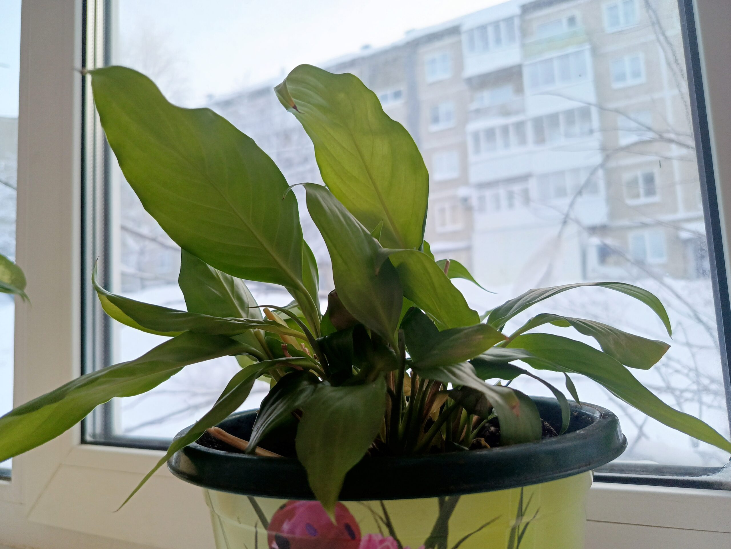 Фото: В курсе.ру