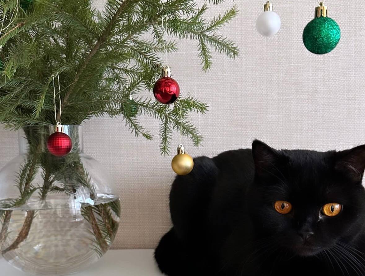 Фото: v-kurse.ru 