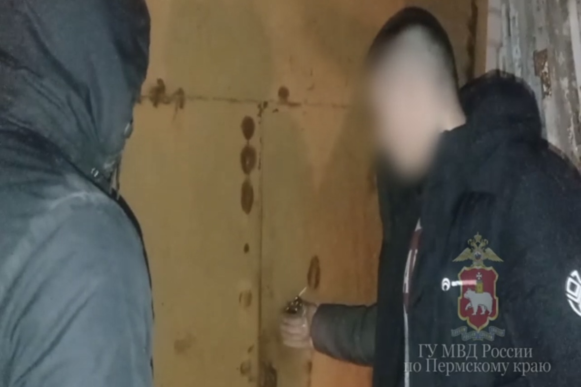 Фото: ГУ МВД по Пермскому краю 