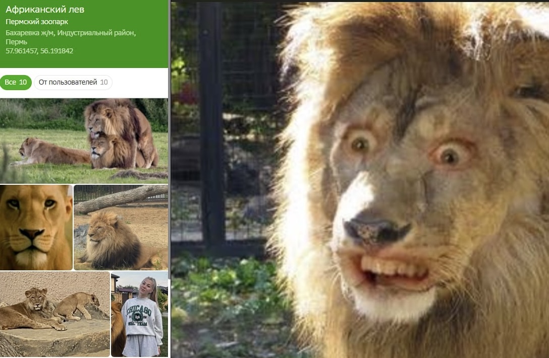 Скрин сервиса 2gis