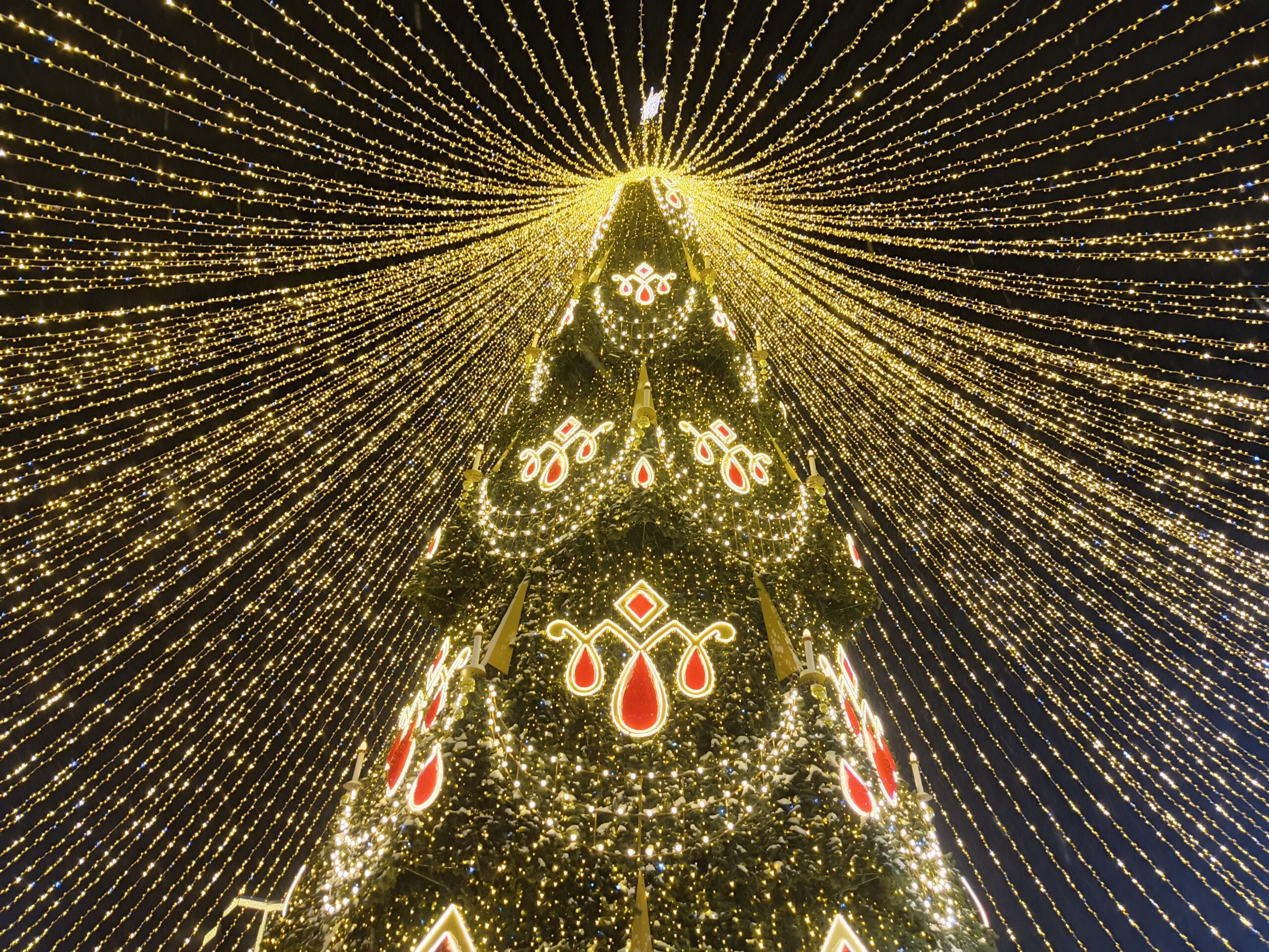 Фото: v-kurse.ru