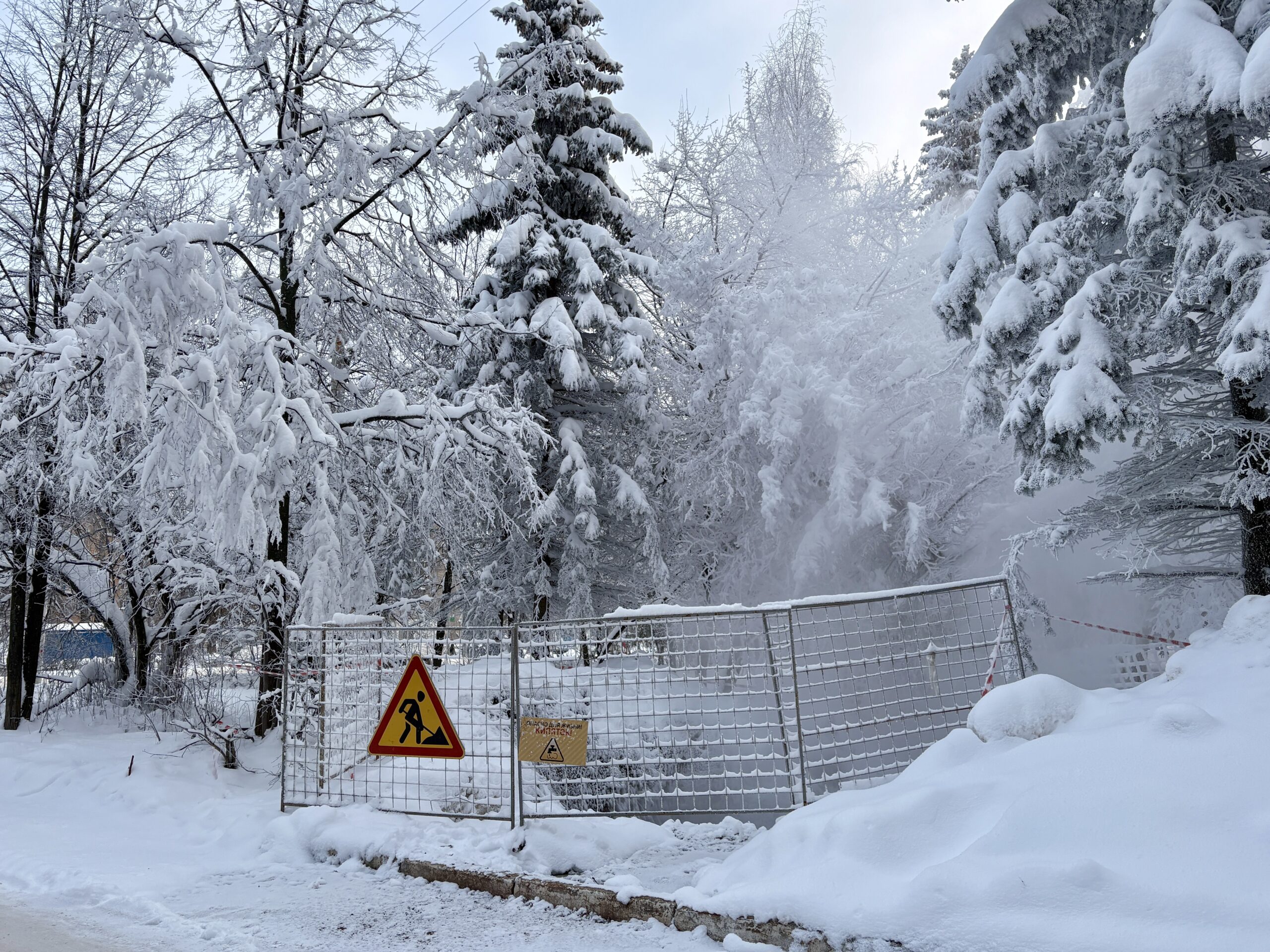 Фото: В курсе.ру 