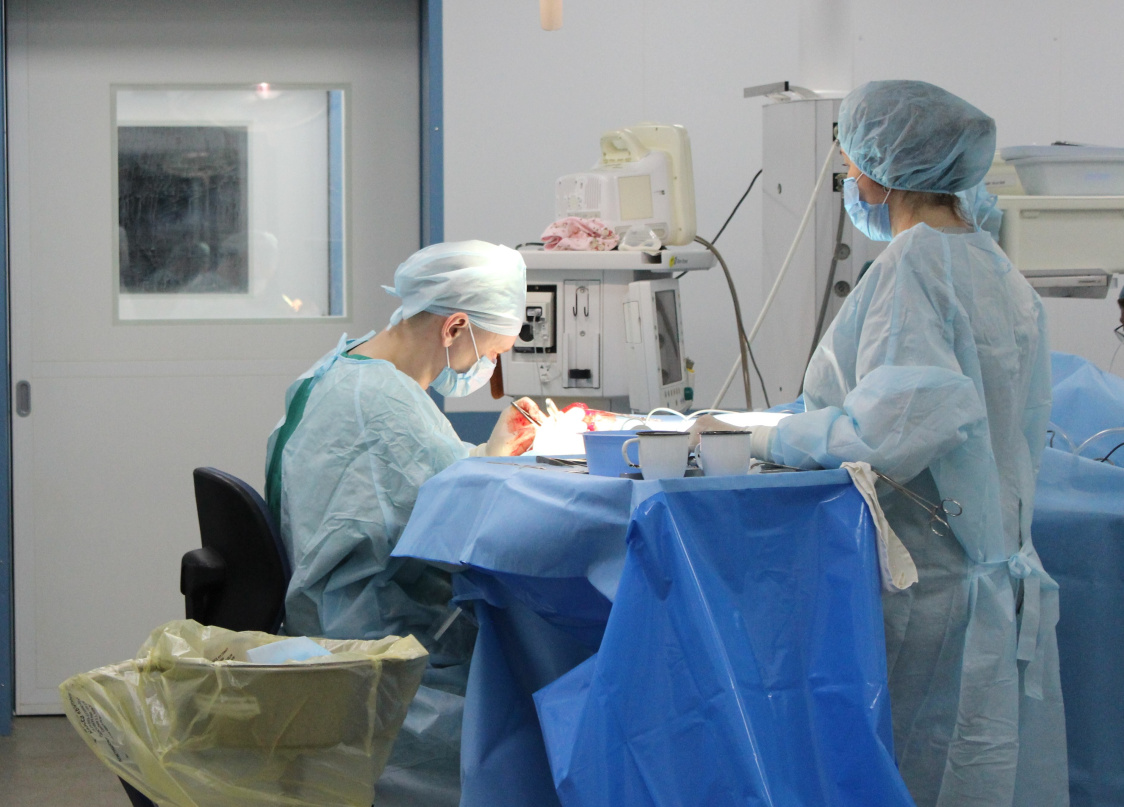 Фото: Правительство Пермского края / сайт