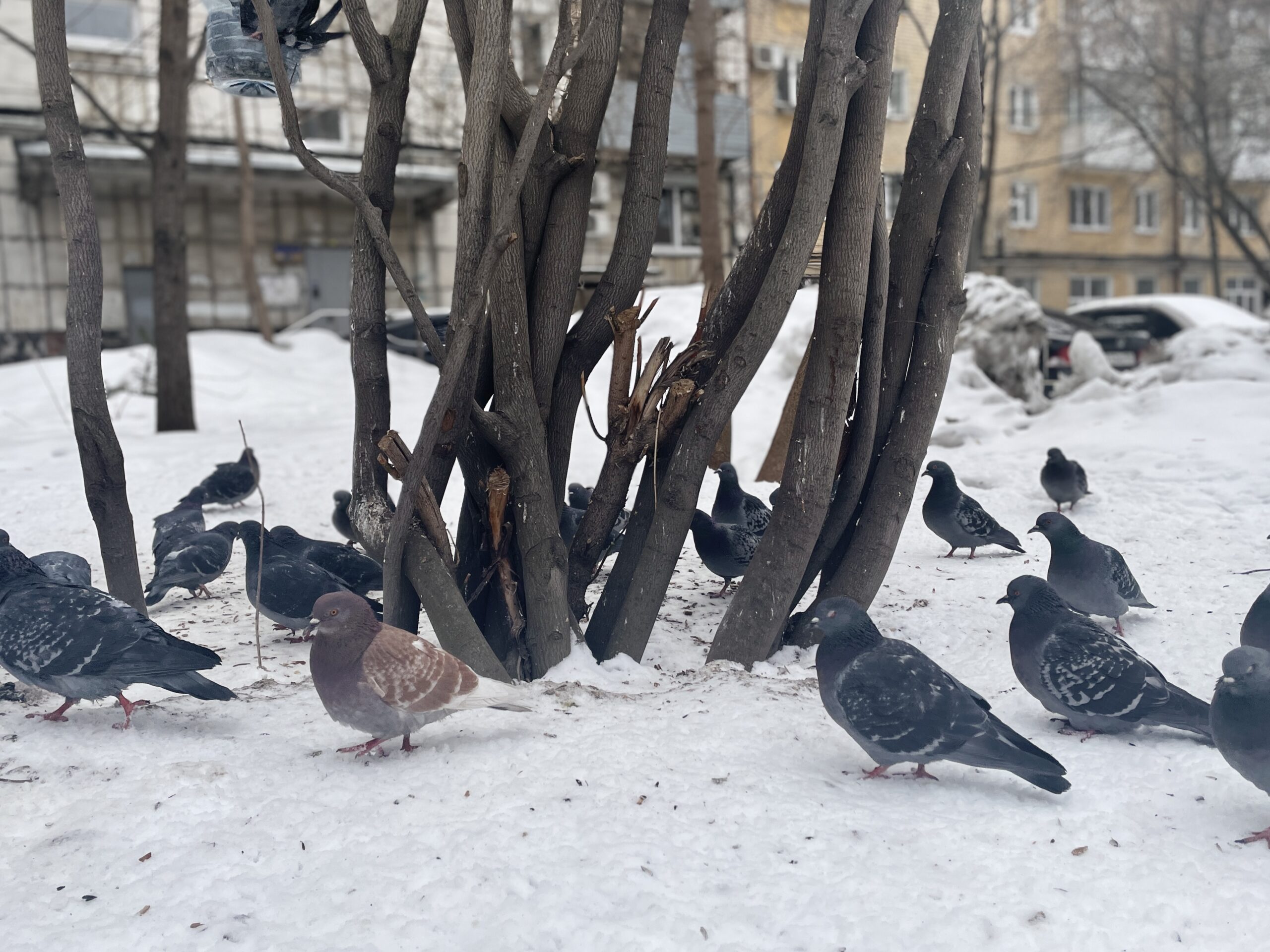 Фото: В курсе ру