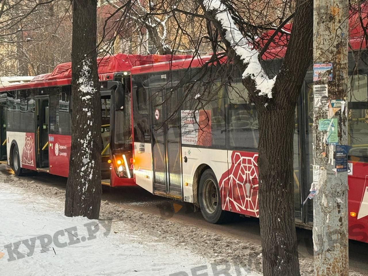 Фото: В курсе.ру