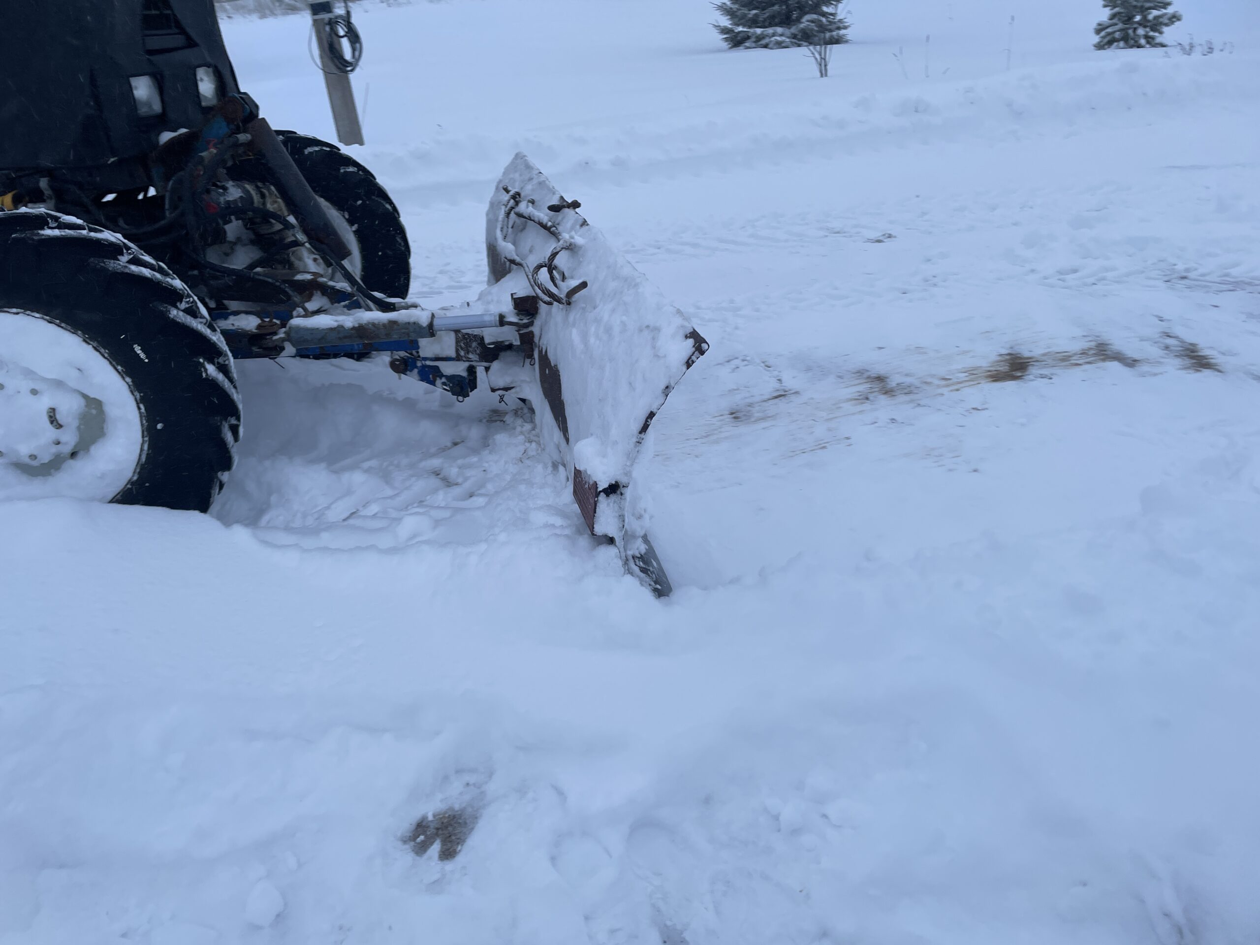 Фото: В курсе.ру