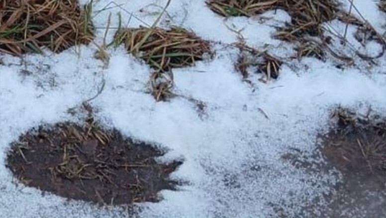 Фото: Администрация Нытвенского муниципального округа / VK