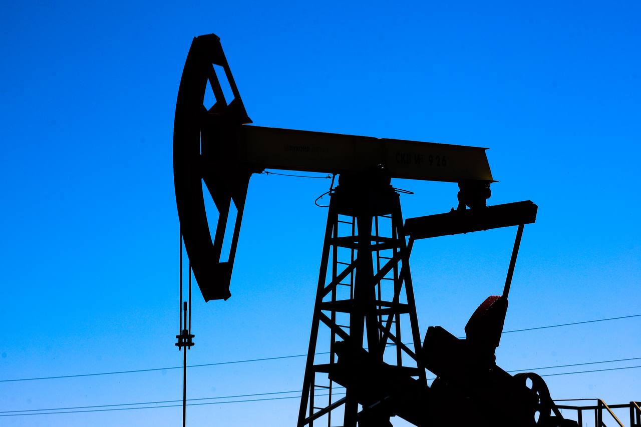 Фото: Елена Майорова