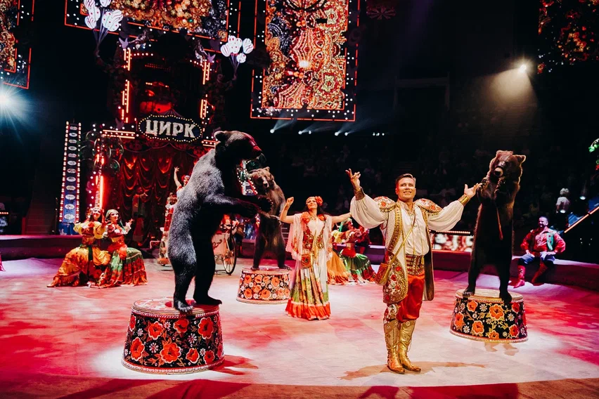 Фото: Предоставлено организаторами