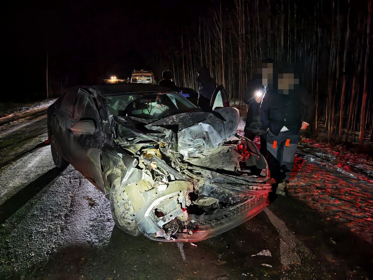 Фото: Поисково-спасательная служба КМО/VK