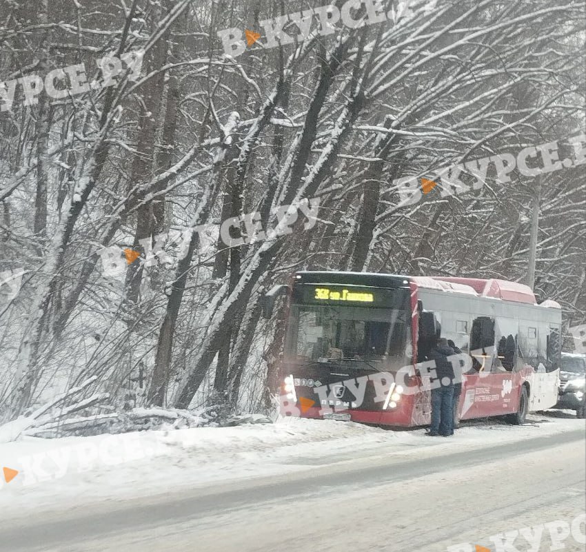 Фото: В курсе.ру