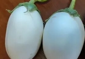 Фото: Россельхознадзор Прикамья