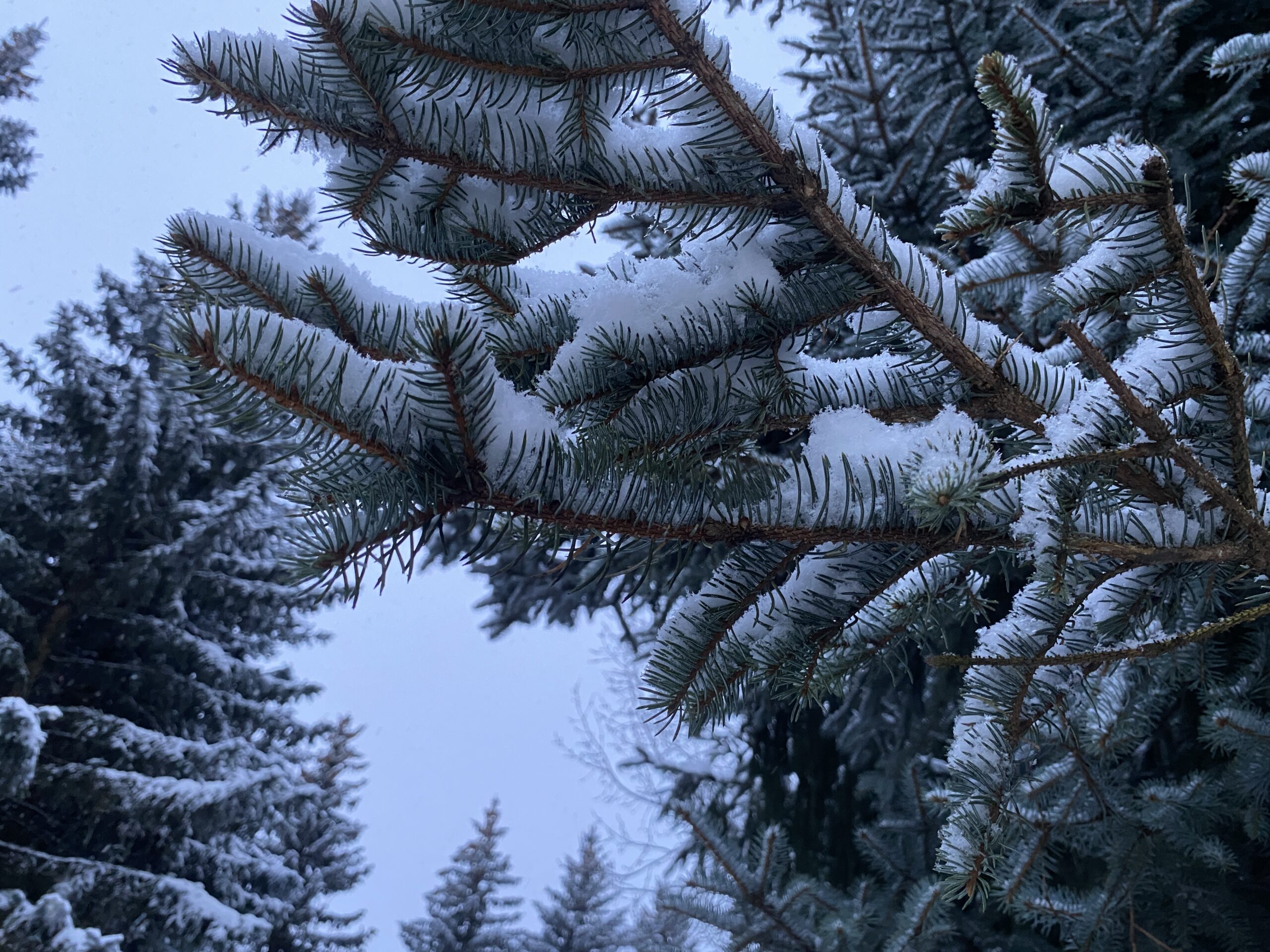 Фото: В курсе.ру