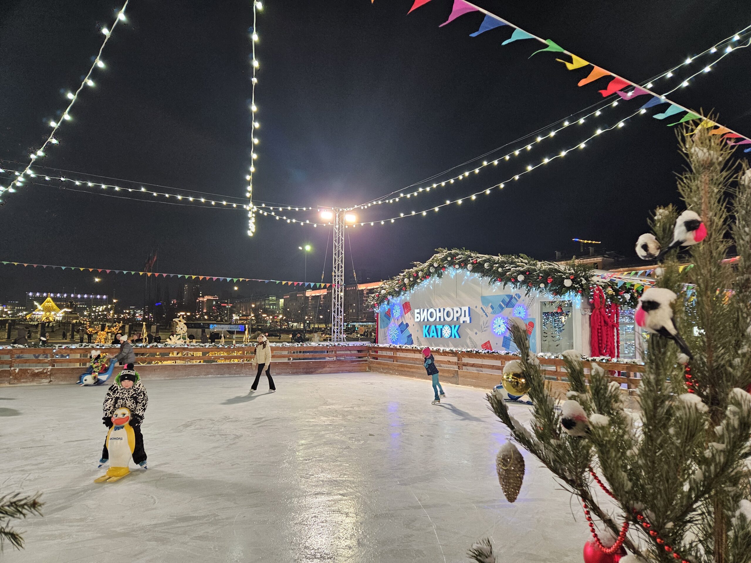 Фото: В курсе.ру