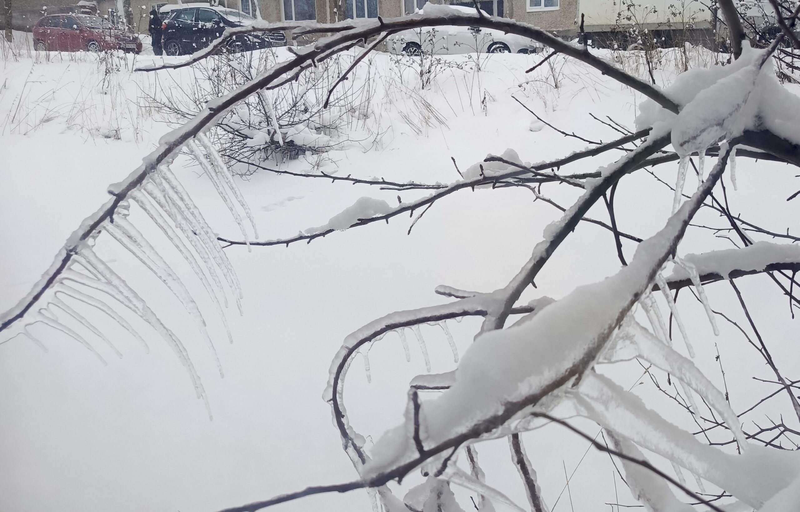 Фото: В курсе.ру