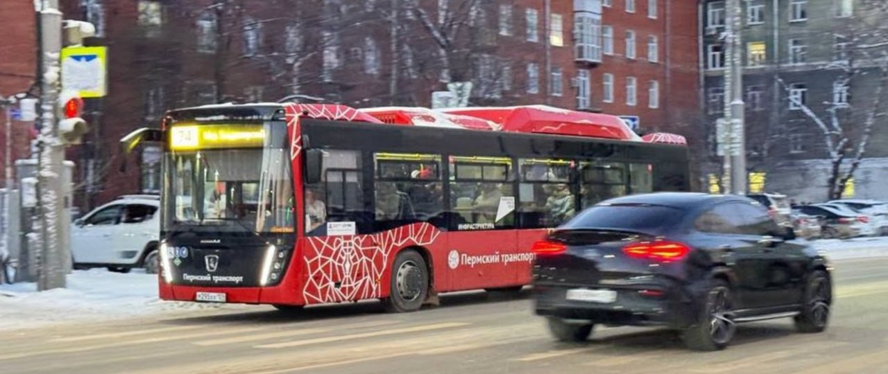 Фото: Минтранс Прикамья/ТГ