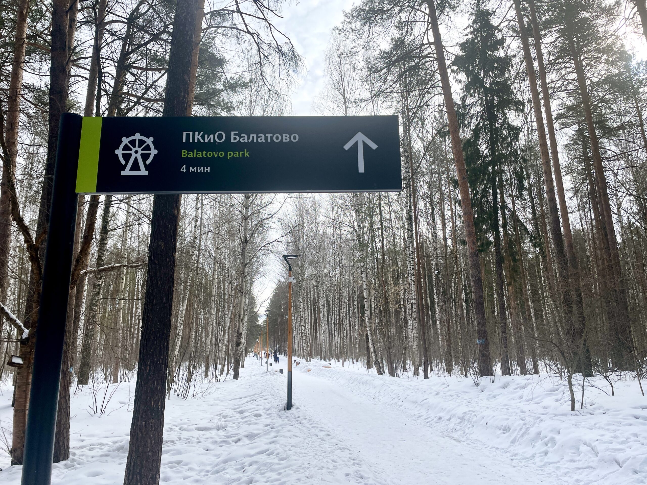 Фото: В курсе.ру