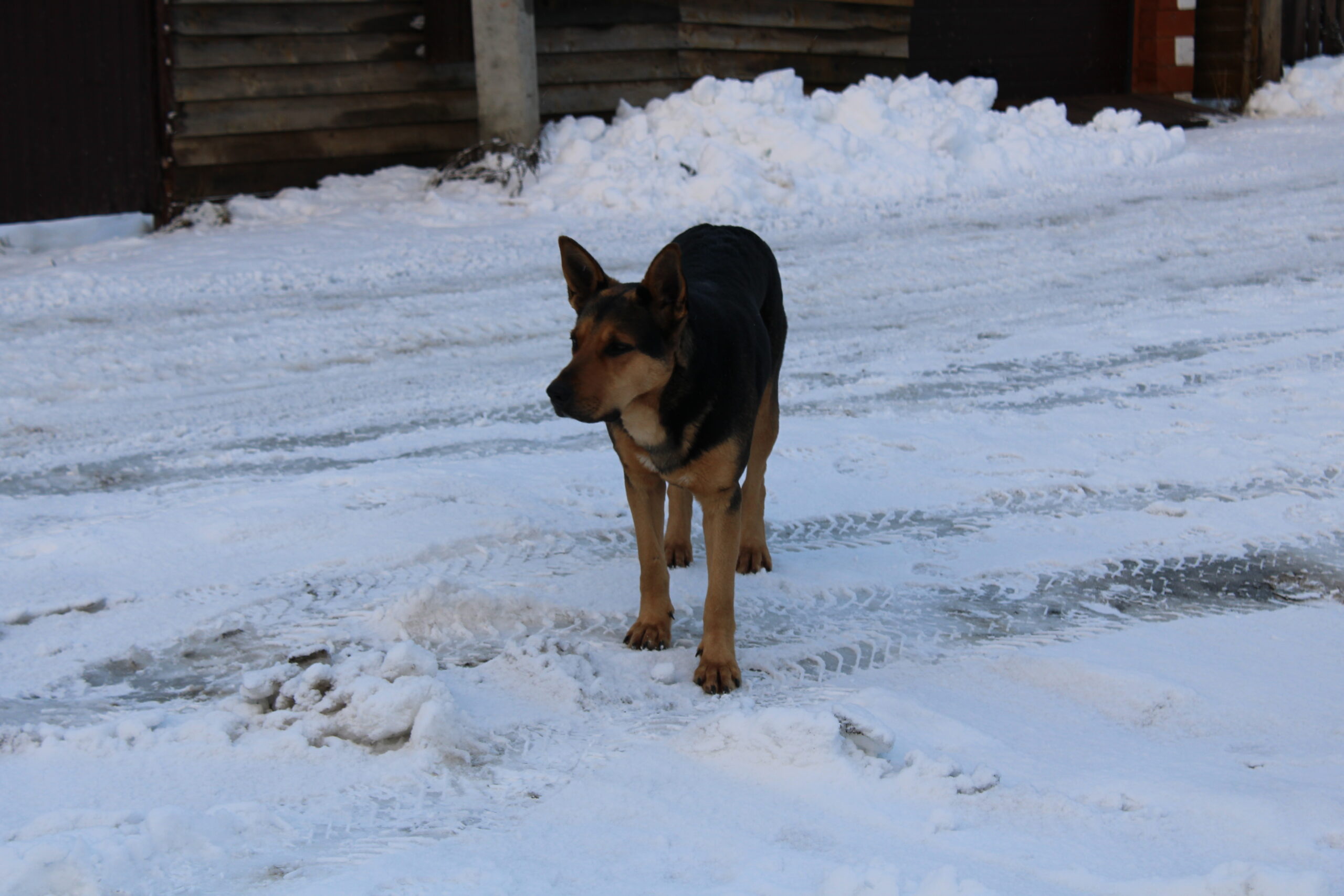 Фото: В курсе.ру