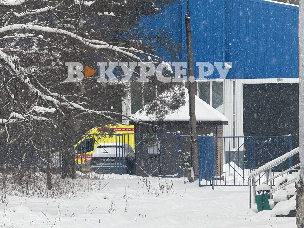 Фото: В курсе.ру