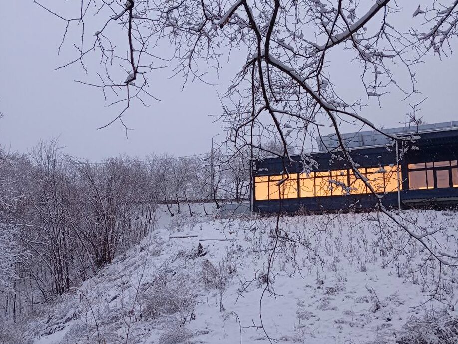 Фото: МКУ «Городское зеленое строительство» г.Пермь / VK