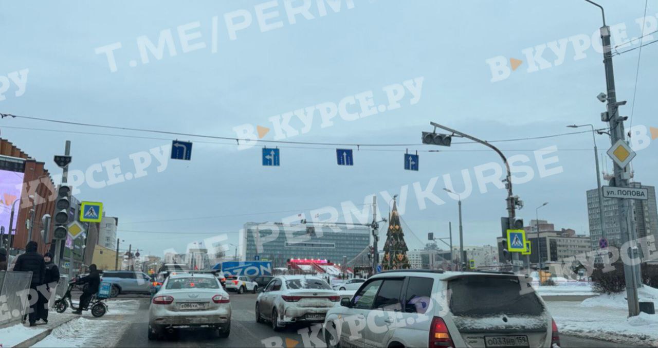 Фото: В курсе.ру