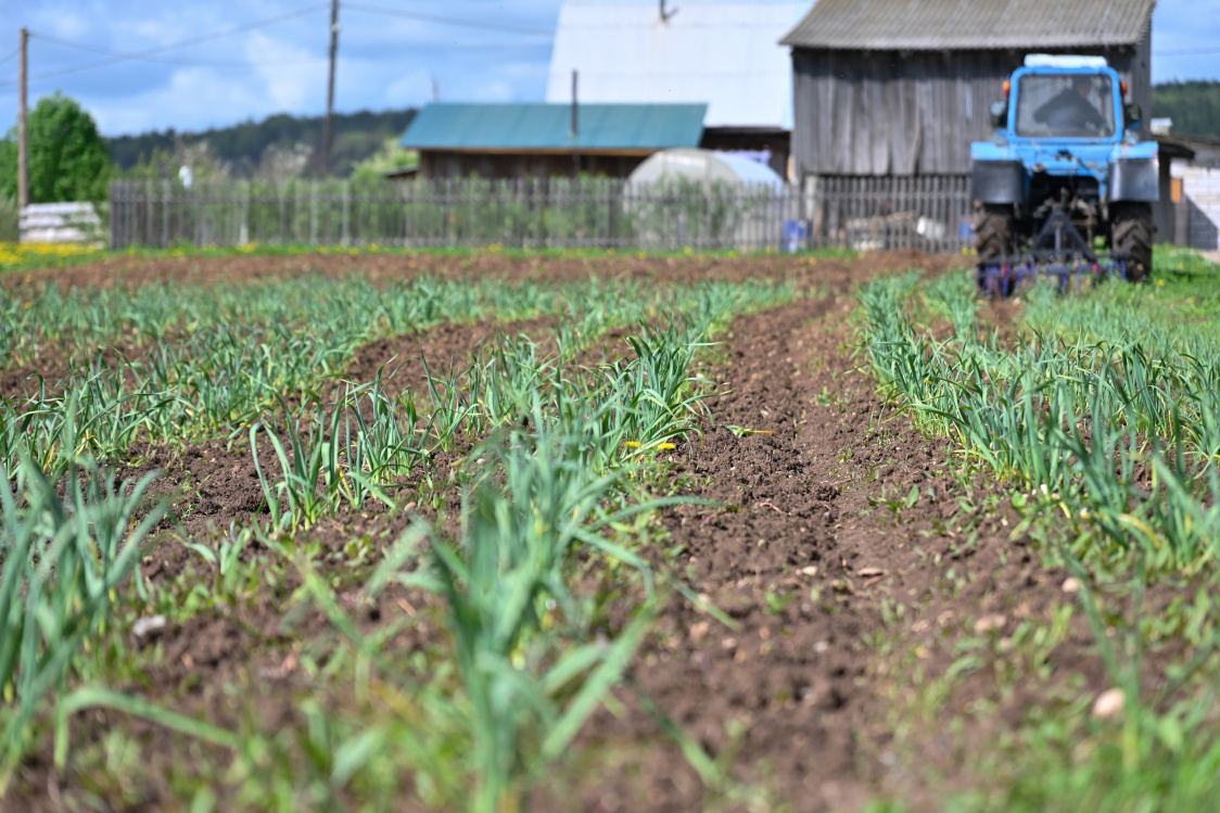 Фото: пресс-служба правительства Пермского края