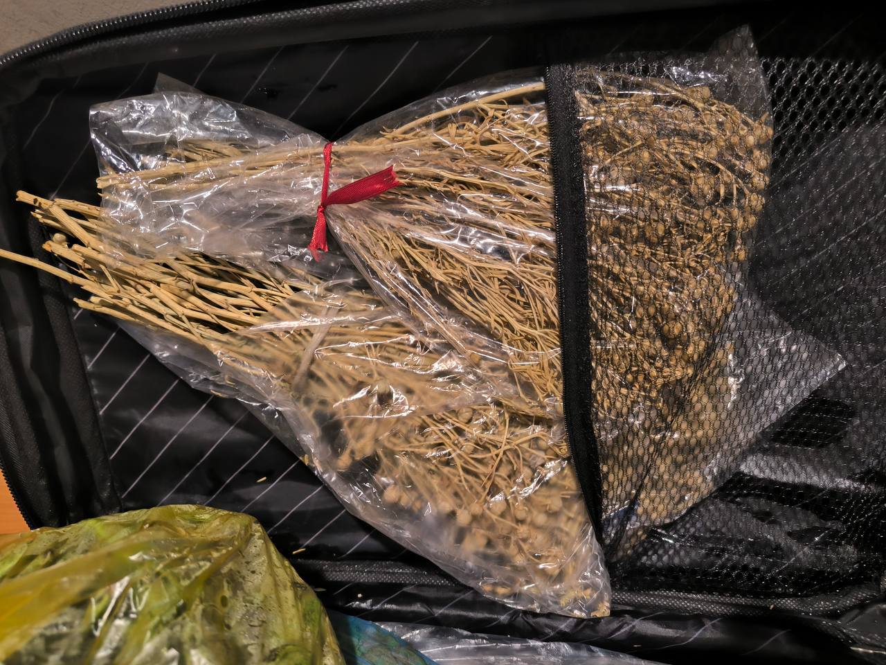 Фото: Транспортная полиция Пермского края
