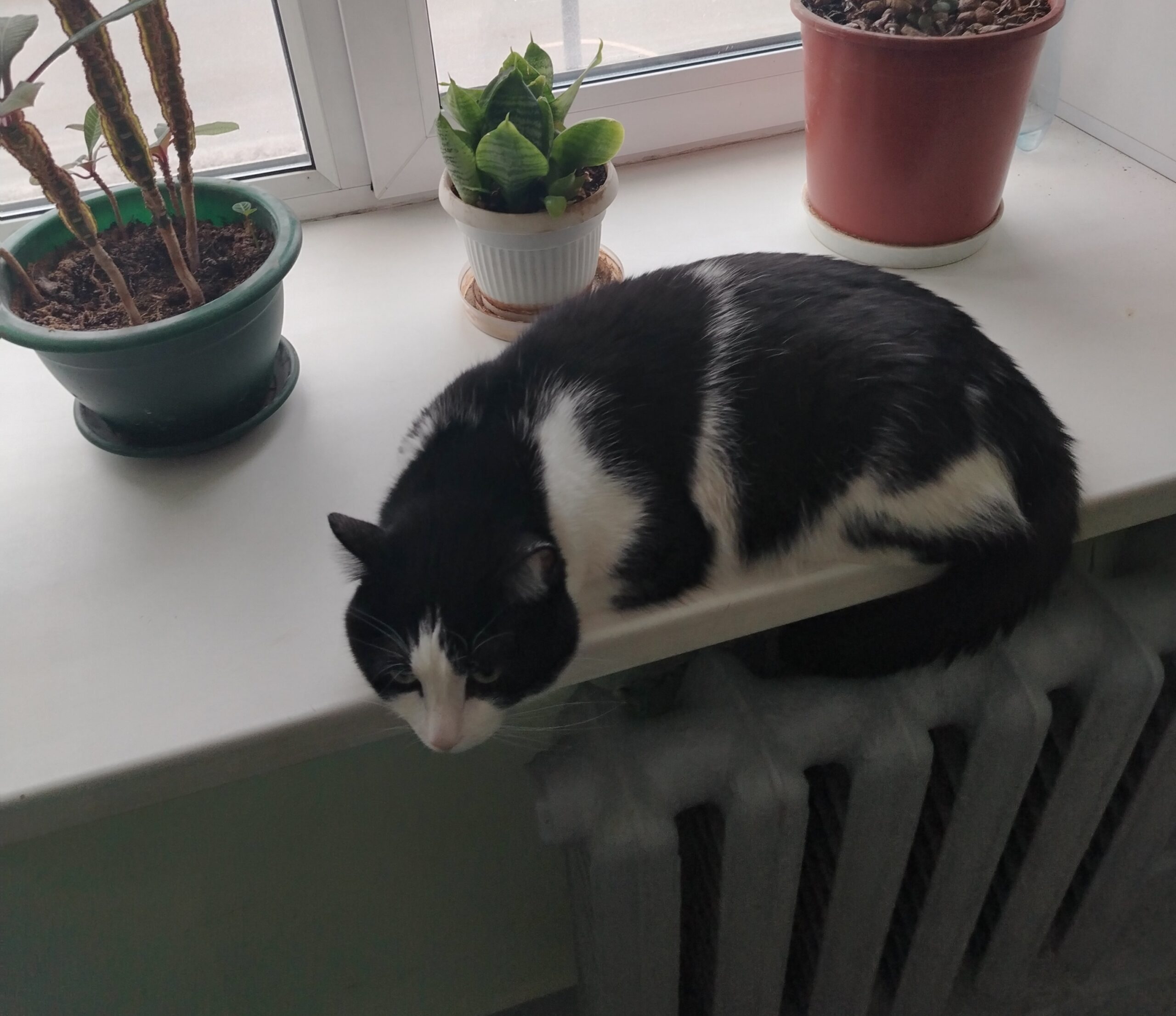 Фото: v-kurse.ru 