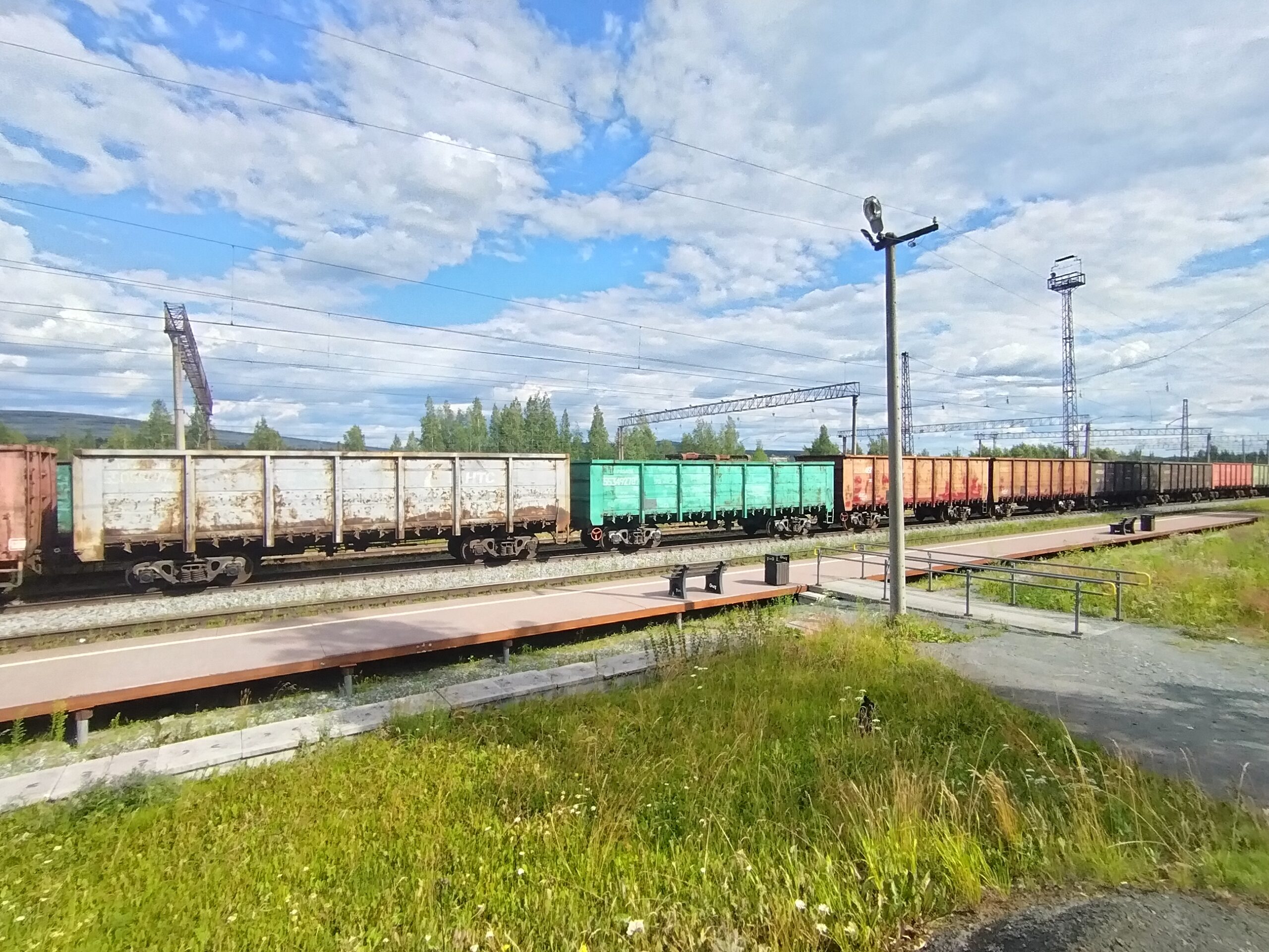 Фото: В курсе.ру