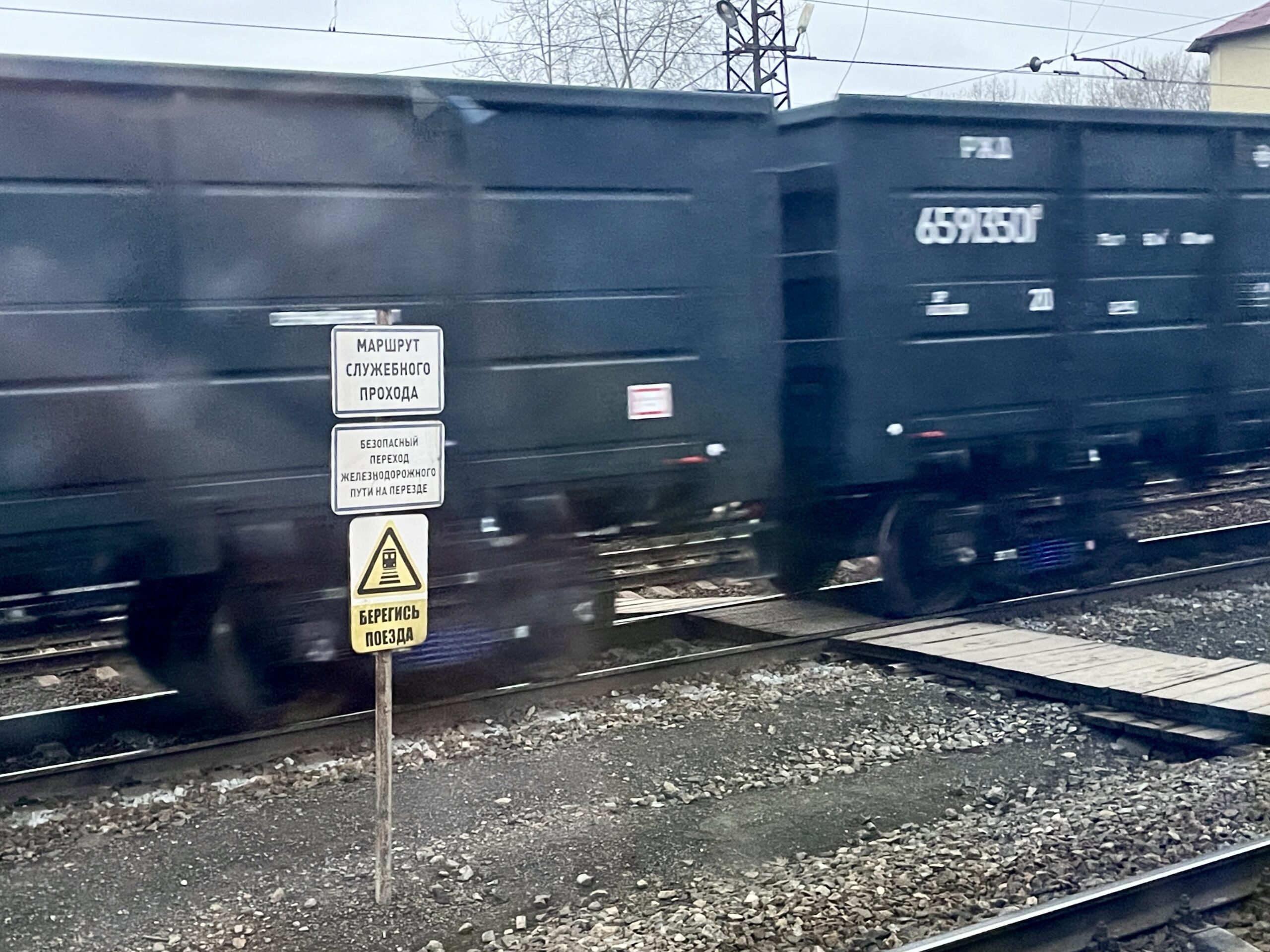 Фото: В курсе.ру 