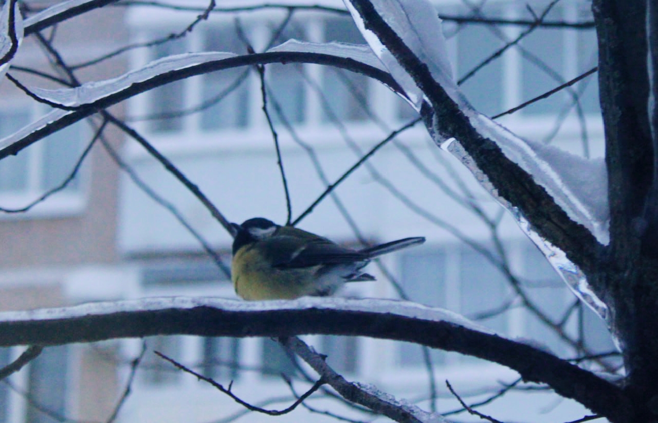 Фото: В курсе.ру 