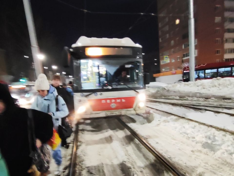 Фото: соцсети 