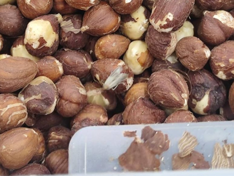 Фото: ЧП ДТП Пермь / ТГ