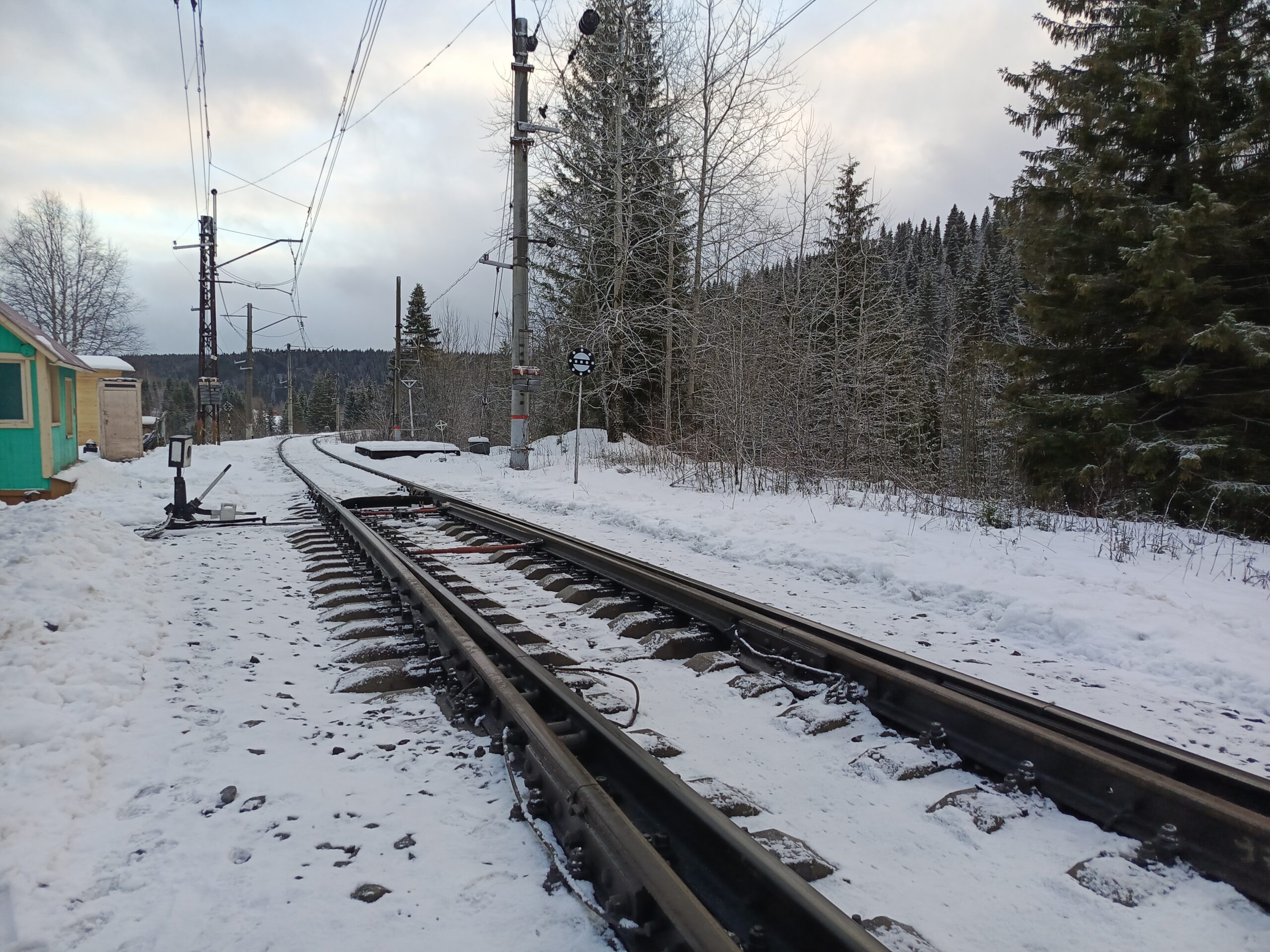 Фото: В курсе.ру 