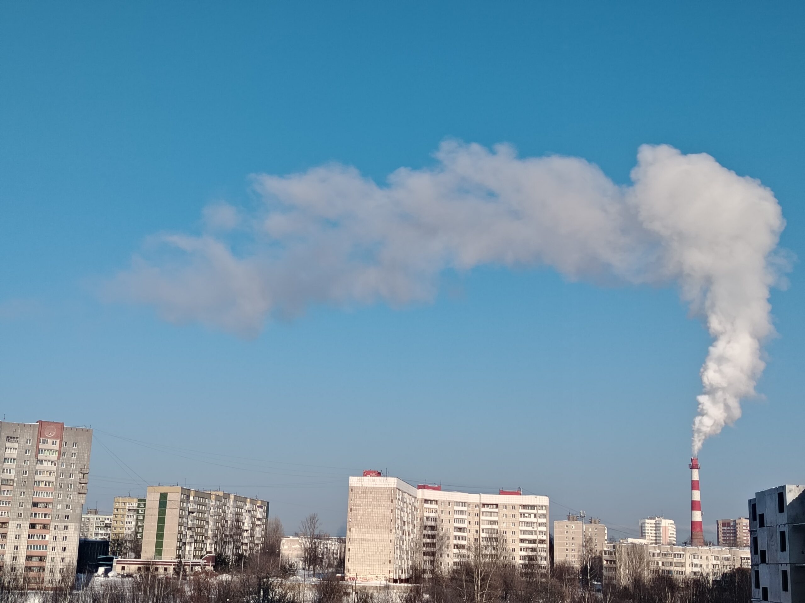 Фото: В курсе.ру 