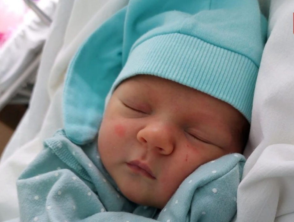 Фото: Пермский край / ТГ