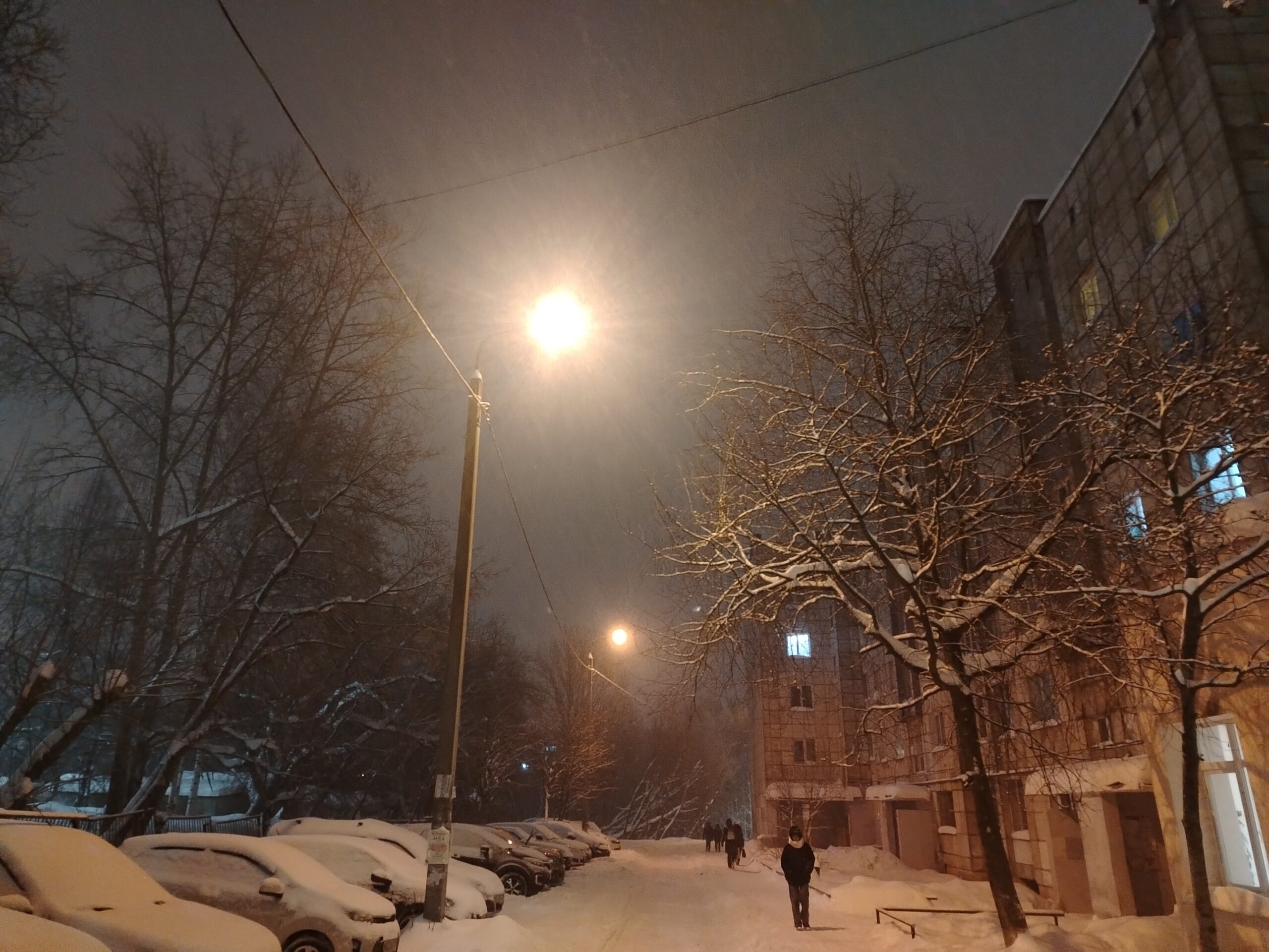 Фото: В курсе.ру 