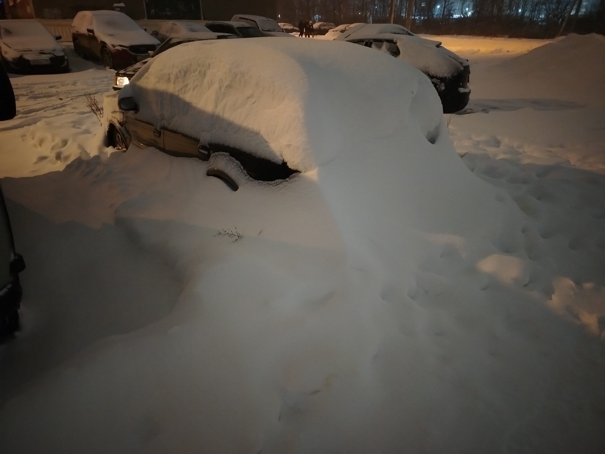 Фото: В курсе.ру 